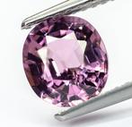 Zonder Minimumprijs Spinel - 1.55 ct - Gem Report Antwerp, Nieuw