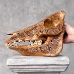 Geen veilingprijs - Bruine uitgeholde patina wild zwijn -