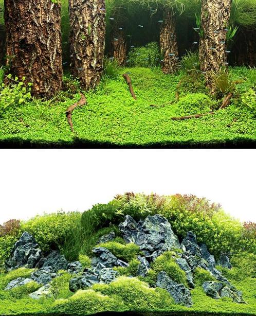 Osaka achterwandposter 661 60cm hoog - 31028, Dieren en Toebehoren, Vissen | Aquaria en Toebehoren, Sierelement, Nieuw, Ophalen of Verzenden