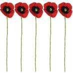 Vilt Bloemen - Klaprozen Rood Poppy  - Set 5 stuks - 40cm -, Nieuw, Ophalen of Verzenden