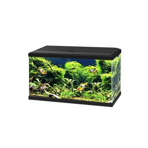 Ciano Aqua 60 LED CF80 | 58L | 60 x 30 x 33CM Zwart Aquarium, Dieren en Toebehoren, Vissen | Aquaria en Toebehoren, Ophalen of Verzenden