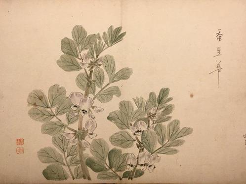 Afbeelding van een plant met witte bloemen - Nishiyama Kanei, Antiek en Kunst, Antiek | Overige Antiek
