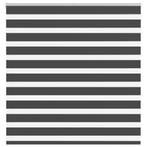 vidaXL Zebra rolgordijn 145x100 cm stofbreedte 140,9 cm, Verzenden, Nieuw, Zwart