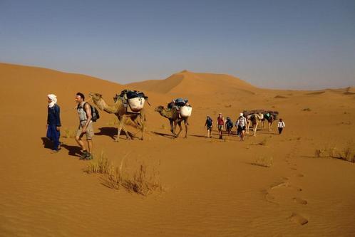 Woestijn Wandelen Vakantie Groepsreis Marokko Avontuur, Vakantie, Vakantie | Groepen en Rondreizen