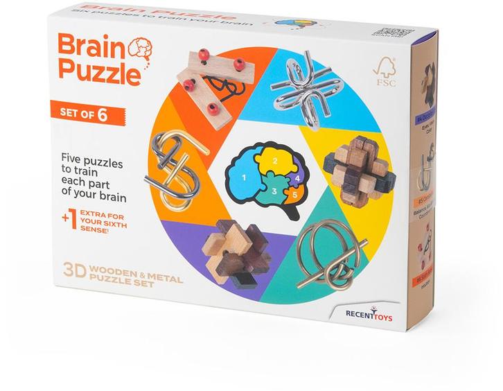 Breinbrekers (6 stuks) | Recent Toys - Puzzels, Hobby en Vrije tijd, Denksport en Puzzels, Nieuw, Verzenden