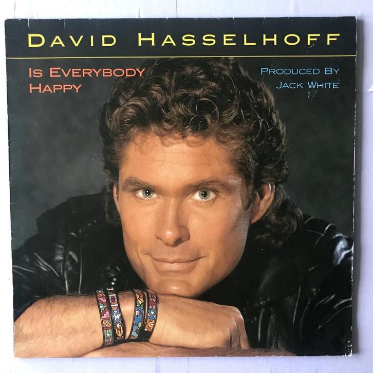 David Hasselhoff – Is Everybody Happy (12-Maxi-Single), Cd's en Dvd's, Vinyl Singles, Ophalen of Verzenden