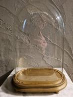 Globe - 1921-1950 - Grote ovale stolp in glas in goede staat, Antiek en Kunst, Antiek | Boeken en Bijbels