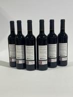 2014 Bodegas Tritium, Tempranillo - Rioja DOC, Reserva - 6, Nieuw
