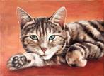Lisa Braun - Turquoise eyes and velvet paws
