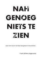 9789464067620 NAHgenoeg niets te zien Frank Willem Hogerv..., Verzenden, Nieuw, Frank Willem Hogervorst
