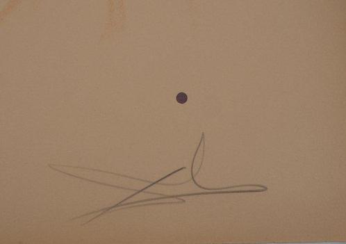 Salvador Dali (1904-1989) - Hommage à la jeunesse, Antiek en Kunst, Antiek | Overige Antiek