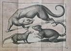 [Martinus Houttuyn], Linnaeus - Natuurlyke Historie, Of, Antiek en Kunst
