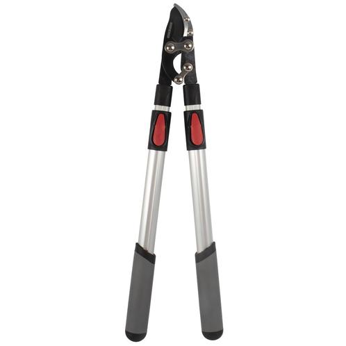 Talen Tools Takkenschaar – Aambeeld – Telescopisch – P, Tuin en Terras, Hand-tuingereedschap, Nieuw, Ophalen of Verzenden