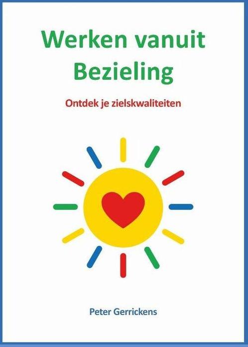 9789074123341 Werken vanuit Bezieling | Tweedehands, Boeken, Studieboeken en Cursussen, Zo goed als nieuw, Verzenden