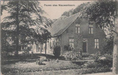 NIEUWENHOORN - Pauwe stee, Verzamelen, Ansichtkaarten | Nederland, Verzenden