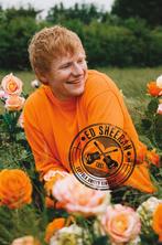 Poster Ed Sheeran Rose Field 61x91,5cm, Verzenden, Nieuw, A1 t/m A3