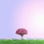 Téber - High Society · XL