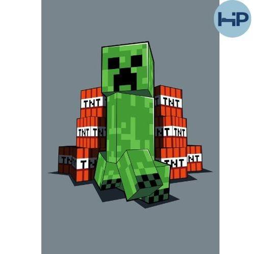 Minecraft fleece deken Creeper - 110x140 cm, Huis en Inrichting, Woonaccessoires | Plaids en Woondekens, Nieuw, Verzenden
