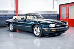 Jaguar - XJS Convertible 6.0L V12 - NO RESERVE - 1994