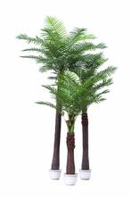 Coco Palm Tree 250cm, Ophalen of Verzenden, Nieuw