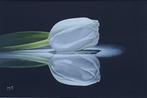 Mieke van Thiel - White Tulip on Mirror, Antiek en Kunst