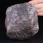 - Kern van een asteroïde - - Campo Del Cielo - Meteorite, Nieuw