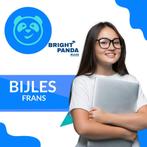 Bijles ( Geschiedenis, Nederlands, Frans, Engels, en meer!), Privéles, Examen- of Scriptiebegeleiding