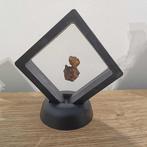 Meteorieten collectie - SERICHO - AL HAGGOUNIA 001 - in, Verzamelen, Mineralen en Fossielen