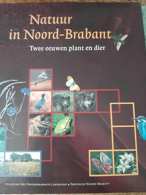 Natuur in Noord-Brabant 9789080122628 M. Caspers, Boeken, Literatuur, Gelezen, Verzenden