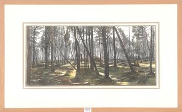 Siemen Dijkstra (1968) beschikbaar voor biedingen