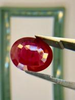 1 pcs Rood Robijn - 2.69 ct - Bellerophon Gemlab - Ruby 2,69, Nieuw