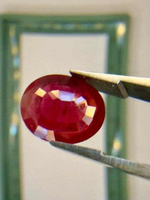 1 pcs Rood Robijn - 2.69 ct - Bellerophon Gemlab - Ruby 2,69, Sieraden, Tassen en Uiterlijk, Edelstenen
