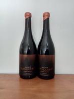 2019 Wine Indigenus, Terras de Mogadouro - Trás-os-Montes, Verzamelen, Nieuw