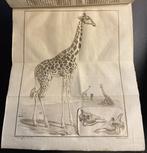 Vaderlandsche Letteroefeningen, of Tijdschrift van Kunsten