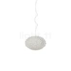 Kartell Bloom Small Hanglamp, helder (Hanglampen), Huis en Inrichting, Lampen | Hanglampen, Verzenden, Nieuw