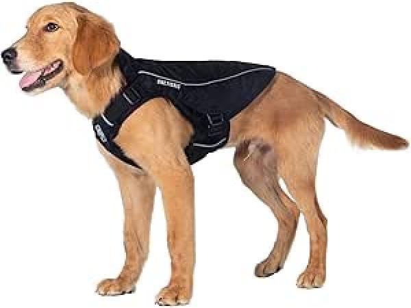 Veiling - OneTigris Achilles Hondenjas M., Dieren en Toebehoren, Hondenkleding, Nieuw