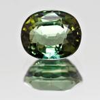 Groen Toermalijn - 5.86 ct, Sieraden, Tassen en Uiterlijk, Edelstenen, Nieuw