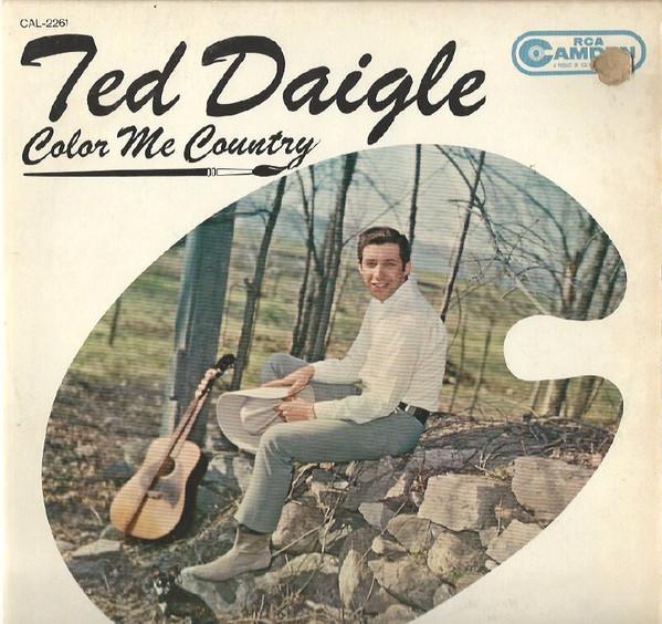 LP gebruikt - Ted Daigle - Color Me Country, Cd's en Dvd's, Vinyl | Country en Western, Zo goed als nieuw, Verzenden