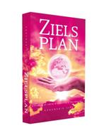 Zielsplan 9789081783651 Annemarie Sips, Boeken, Verzenden, Zo goed als nieuw, Annemarie Sips