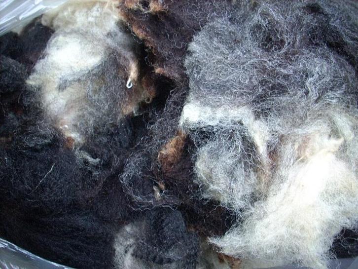 schapenwol spinnen  wol vilten spinnewiel spinwol  vachtvilt, Hobby en Vrije tijd, Spinnewielen en Spinnen, Spinwol, Nieuw