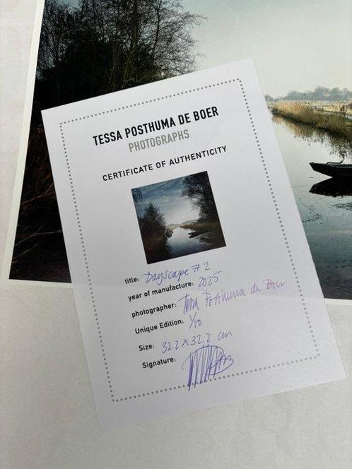 Tessa Posthuma de Boer - Dayscape #2, Antiek en Kunst, Kunst | Schilderijen | Modern