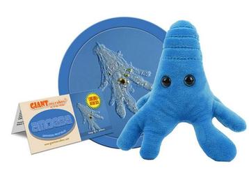 Amoebe knuffel, Giant Microbes beschikbaar voor biedingen