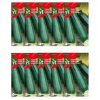 Courgettezaad | VT | 10 stuks, Tuin en Terras, Verzenden