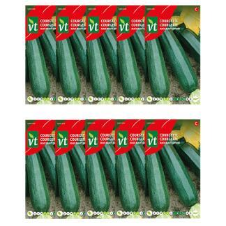 Courgettezaad | VT | 10 stuks, Tuin en Terras, Bloembollen en Zaden, Verzenden