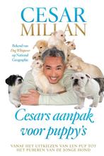 Cesars aanpak voor puppy s 9789044334029, Boeken, Verzenden, Zo goed als nieuw