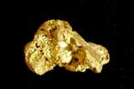 Goud Inheems, Nugget uit Frans-Guyana of Suriname- 1.61 g -