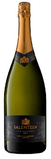 Salentein Sparkling Brut Magnum, Verzamelen, Wijnen, Verzenden