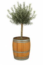 Unieke Houten Kuipen; Bloembakken Olijfboom | Fruitboom |, Ophalen of Verzenden, Nieuw, Rond, Balkon