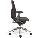 Ergonomische bureaustoel, Verzenden, Zwart, Nieuw, Bureaustoel