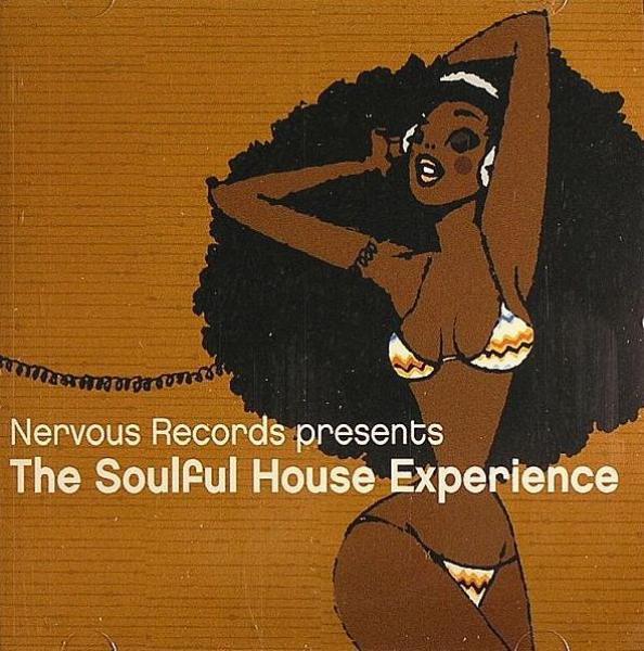 cd - Various - The Soulful House Experience, Cd's en Dvd's, Cd's | Overige Cd's, Zo goed als nieuw, Verzenden